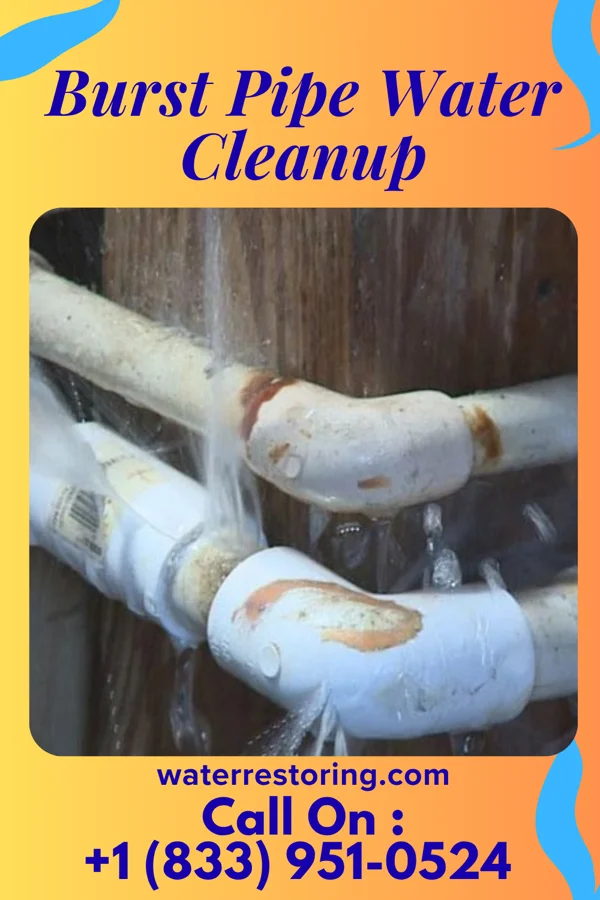 Burst Pipe Water Cleanup in Sandia Knolls, NM