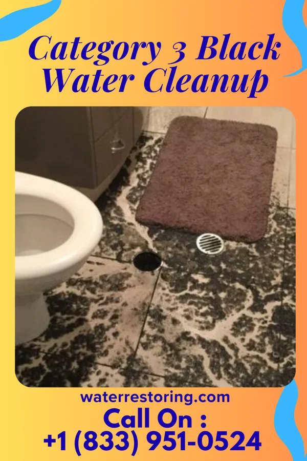 Category 3 Black Water Cleanup in Sandia Knolls, NM