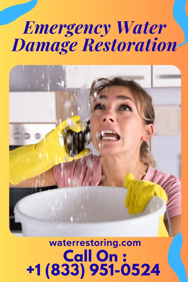 Emergency Water Damage Restoration in Sandia Knolls, NM