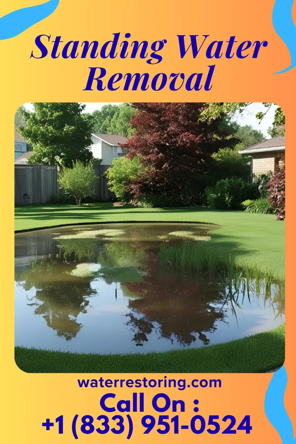 Standing Water Removal in Sandia Knolls, NM